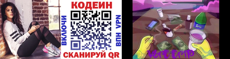 Кодеин Purple Drank  Купить закладки  Тихорецк 