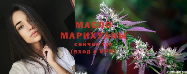 дмт Мегион