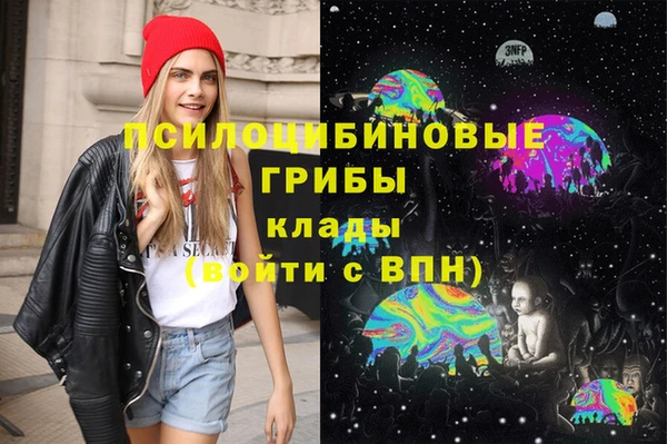 мдпв Майский